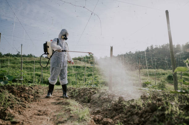 Best Commercial Pest Control Services  in Iva, SC