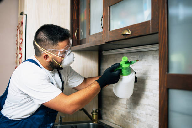Best Pest Prevention Services  in Iva, SC