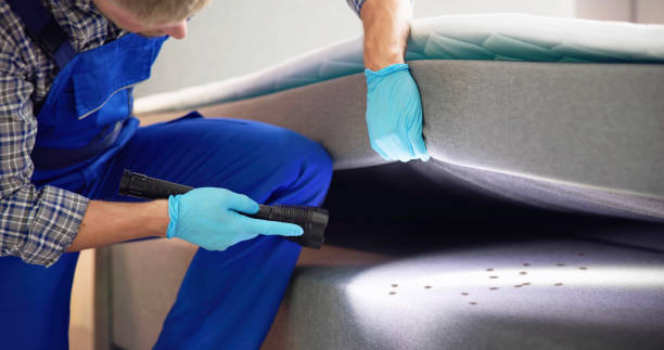 Best Pest Removal Services  in Iva, SC
