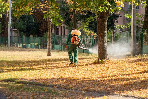 Best Cockroach Control Services  in Iva, SC