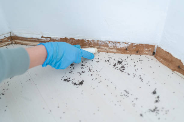 Iva, SC Pest Control Company